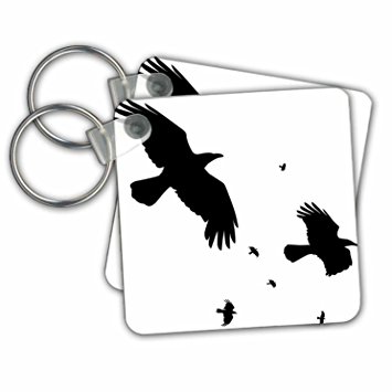 355x355 A Murder Of Crows