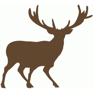 300x300 Silhouette Design Store