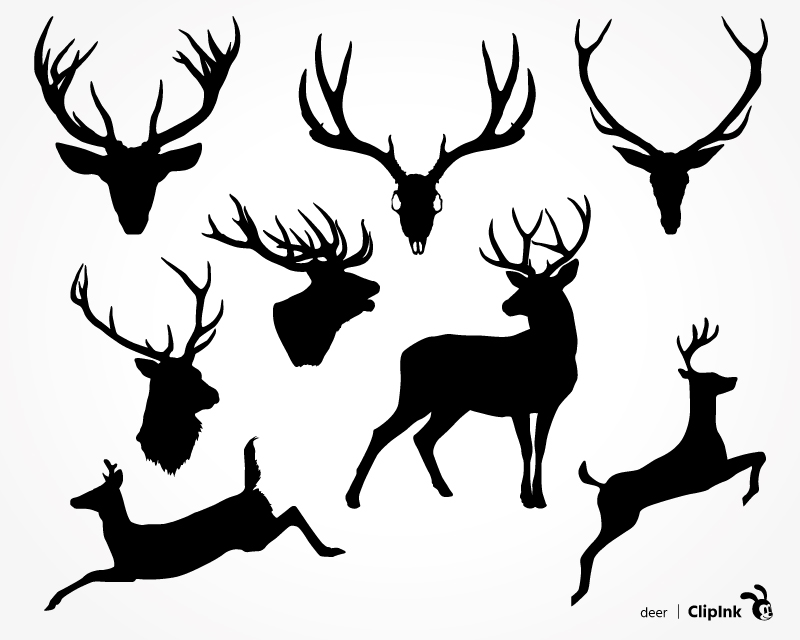 800x640 Deer Svg, Deer Head, Scull And Antlers Svg, Png, Eps, Dxf, Pdf