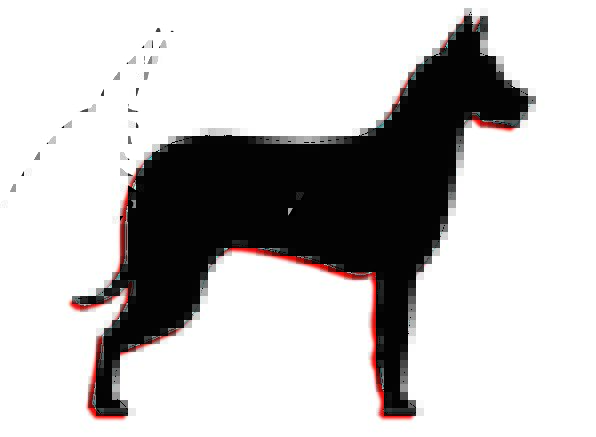 596x437 Dog, Canine, Outline, Silhouette, Profile, Animal, Physical, Black
