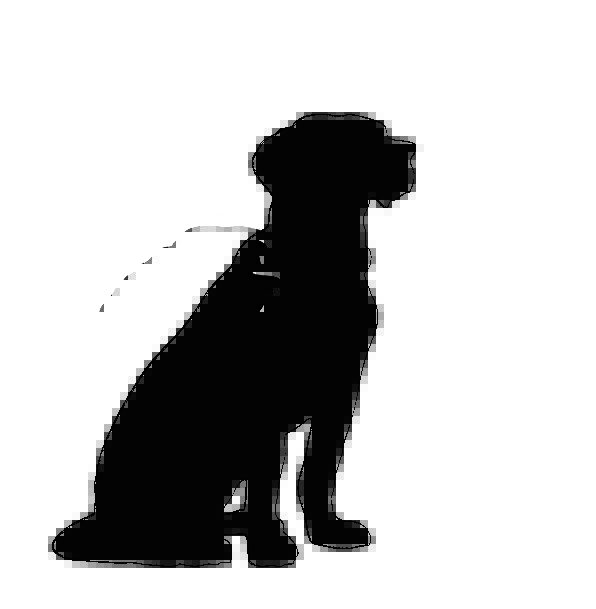 596x609 Dog, Physical, Sitting, Sedentary, Animal, White, Big, Large, Art