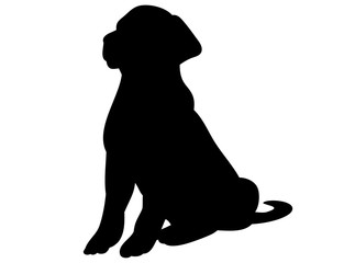 323x240 Dog Breed Silhouette Photos, Royalty Free Images, Graphics