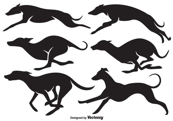 700x490 Vector High Quality Whippet Dogs Silhouettes