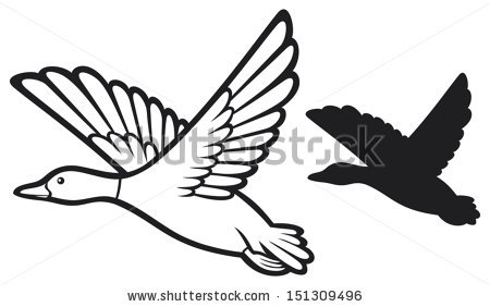 450x282 Mallard Duck Clipart