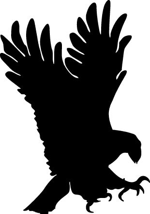 310x441 Eagle Silhouette White Logo
