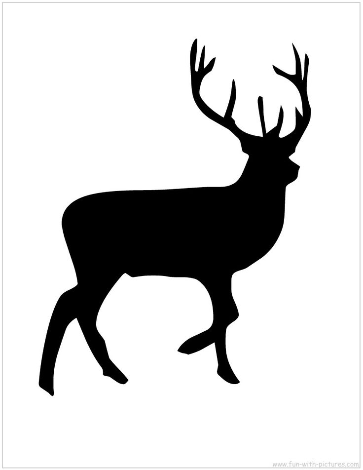 736x952 Buck Clipart Deer Silhouette