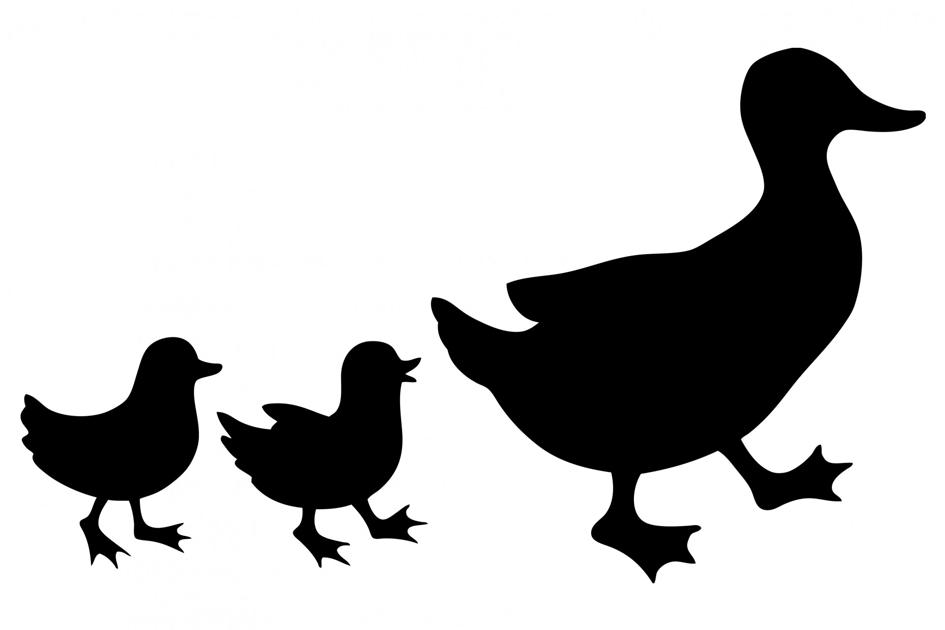 1920x1279 Duck Family Silhouette
