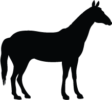 219x196 Horse Silhouette Silhouette Of Horse