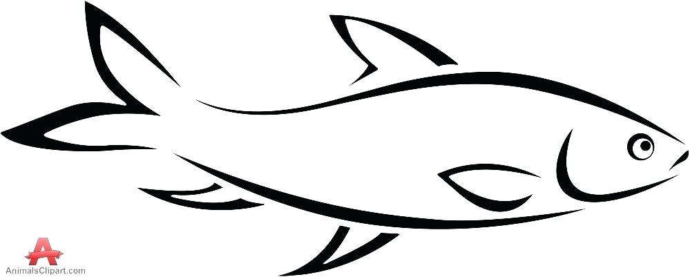 999x401 Fish Outline Clip Art
