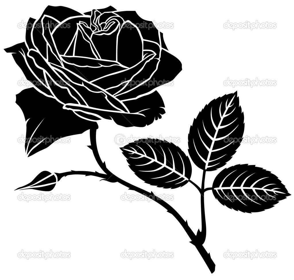 1024x975 Rose Flower Silhouette Stock Vector Agrino