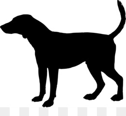 260x240 Free Download The Slow Waltz Turtles France The Yellow Eyes