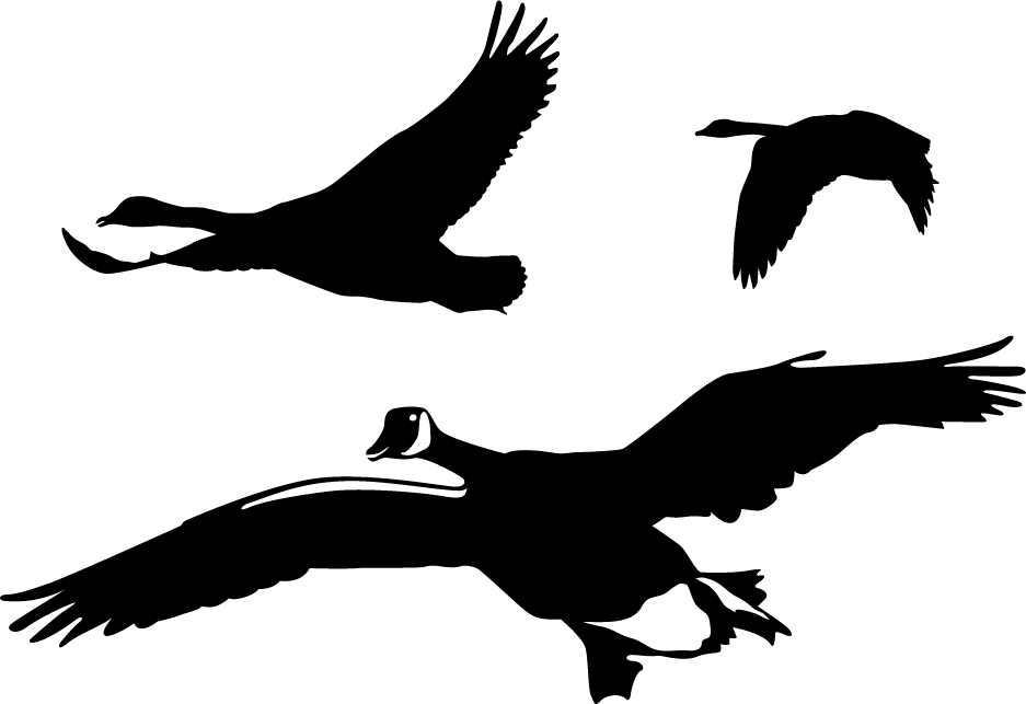 937x643 Geese Flyover Wall Decal