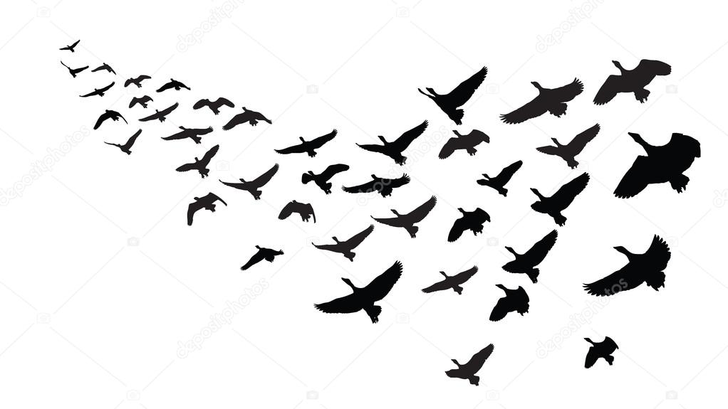 1022x575 Goose Clipart V Formation