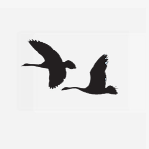 500x500 High Flying Geese, Dayan Silhouette, Soar, Sky Png Image