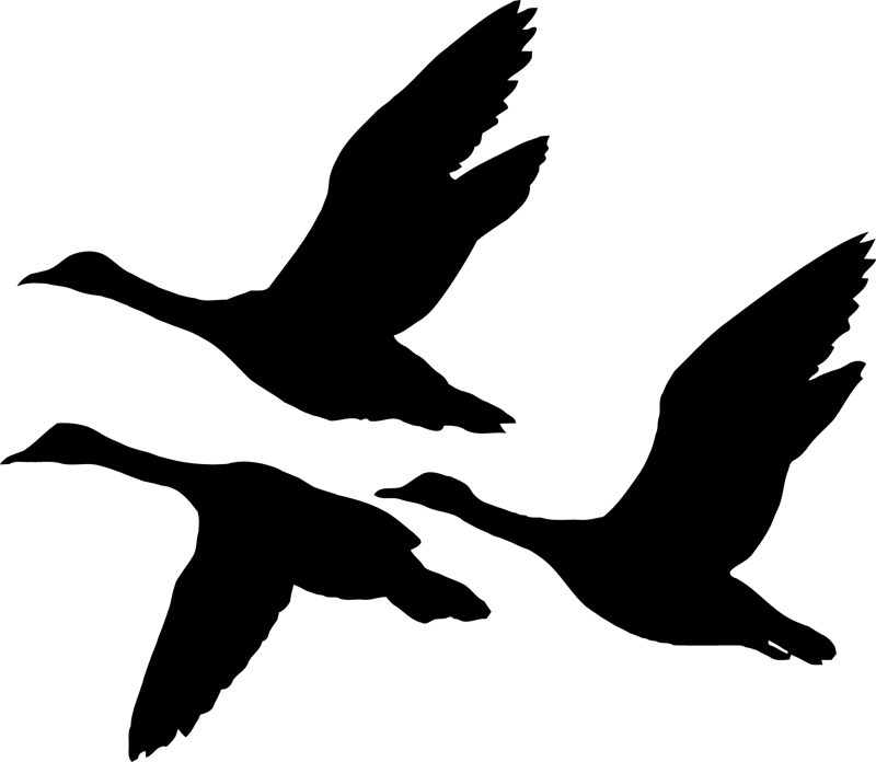 800x696 Tamzdezignsproduct Categories Archives Page 47 Of 58