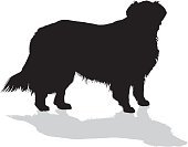 170x133 Golden Retriever Dog, Silhouette Stock Vectors