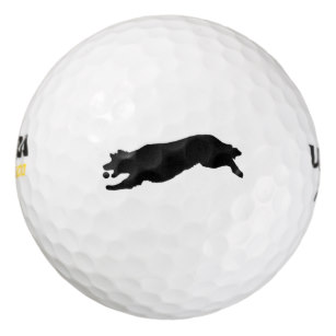 307x307 Golden Retriever Golf Balls Zazzle