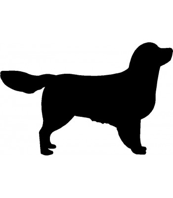 350x400 Dog Welcome Sign Breed Golden Retriever