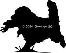 214x172 Golden Retriever