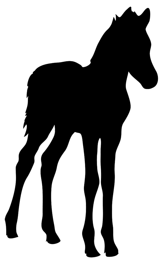 567x886 Horse Silhouette Animal Silhouettes, Vectors, Clipart, Svg