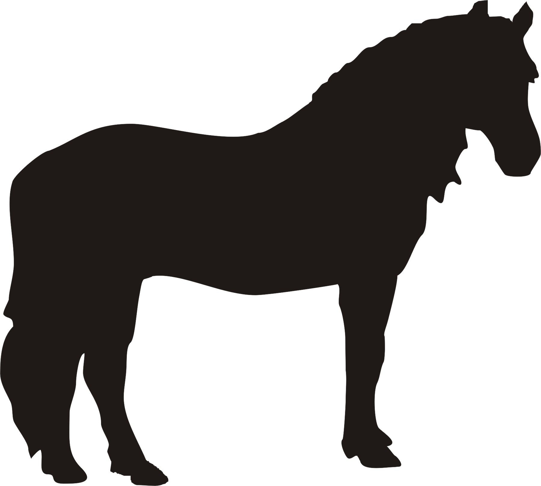 Silhouette Of Horse Head