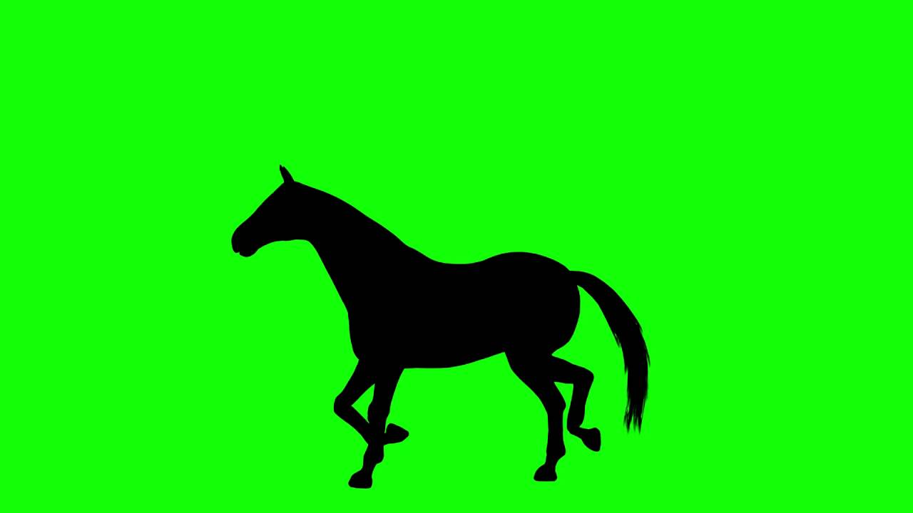 1280x720 Free Hd Video Backgrounds Horse Silhouette Galloping And Resting