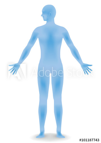 354x500 Human Body Silhouette, Face As Seen From The Side, Vector