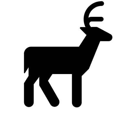 410x383 Miyajima Island, Japan