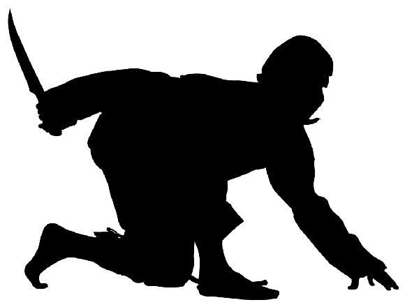 580x440 Ninja To Officially Appear Before Japanese Parliament To Outline