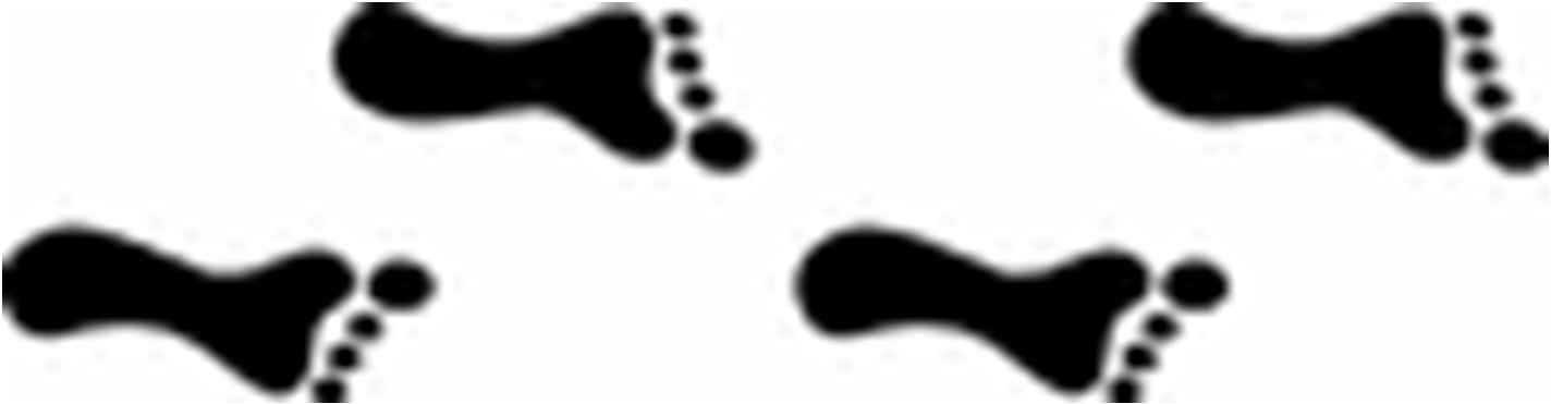 1424x371 Footprint Clipart Sponsored Walk