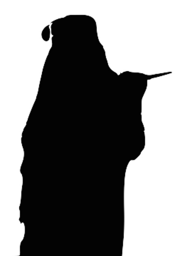 625x833 Can You Guess The Harry Potter Character From Their Silhouette