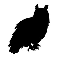 200x200 Shape Shapes Silhouette Silhouettes Cutout Cut Out Bird Birds