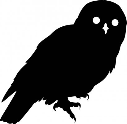 410x400 Barred Owl Clipart Black And White