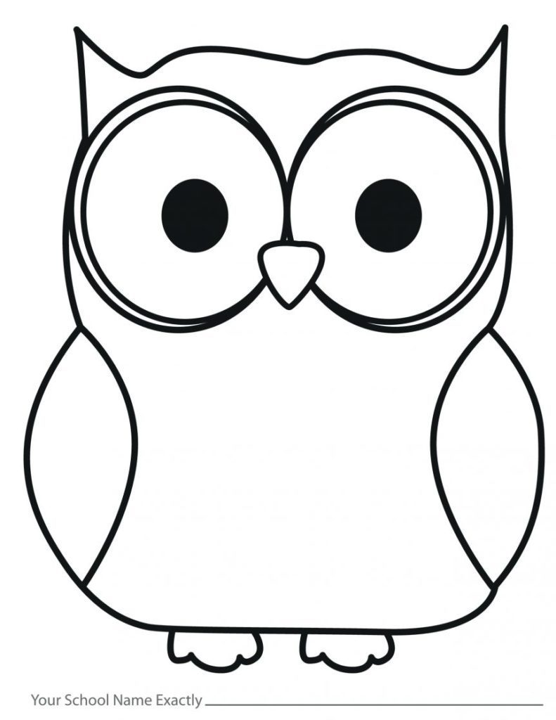 791x1024 Outline Of An Owl