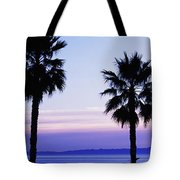 180x180 Silhouette Of Palm Trees, Laguna Beach Photograph By Panoramic Images