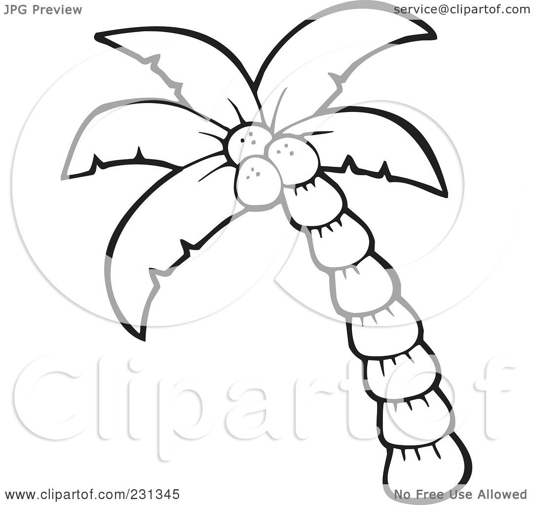 1080x1024 Simple Palm Tree Outlines Royalty Free Rf Clipart Illustration
