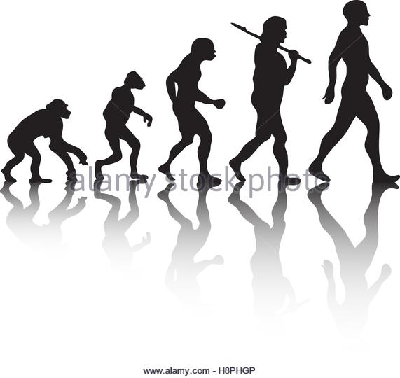 571x540 Evolution Of Man Silhouette Stock Vector Images