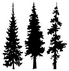 221x229 Pine Tree Silhouette Clip Art