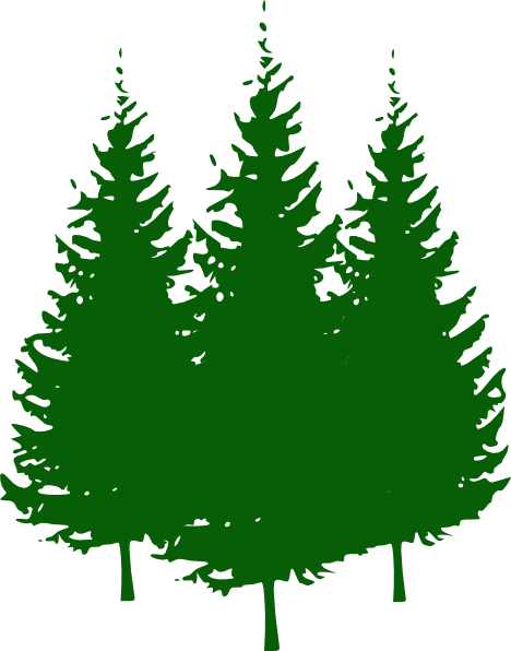 468x596 Pine Trees Green Pine Tree, Black Silhouette