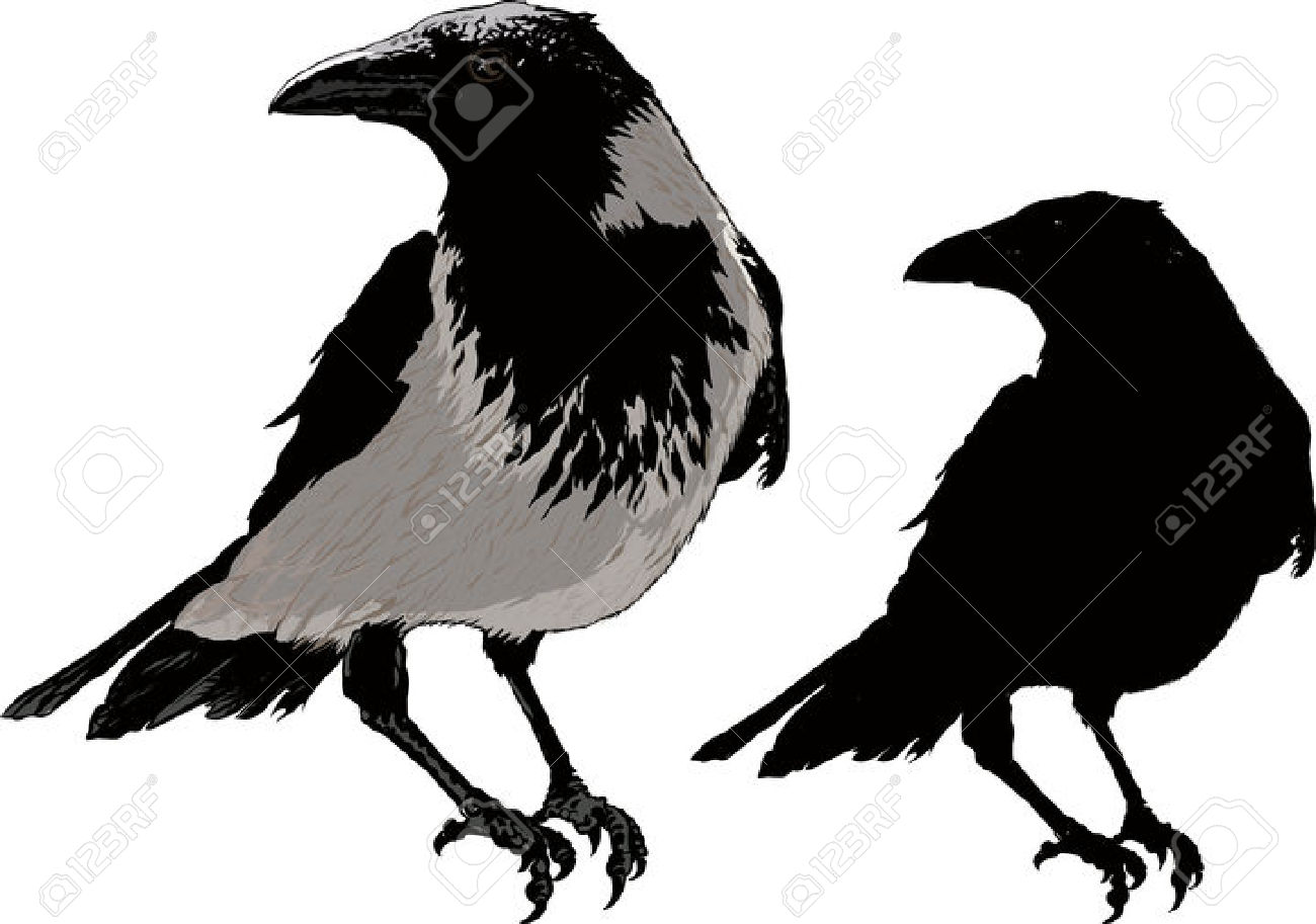 1300x913 Raven Free Clipart Silhouette