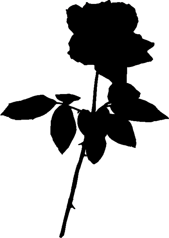 570x800 Rose Silhouette (36) By Clipartcotttage