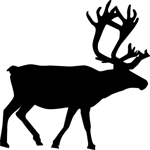 640x639 North, Silhouette, Christmas, Reindeer, Santa, Animal