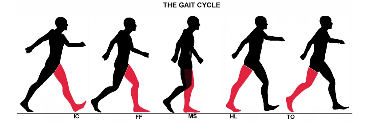 1200x400 Balance Disorder Reza Salman Roghani, Professor Of Physical