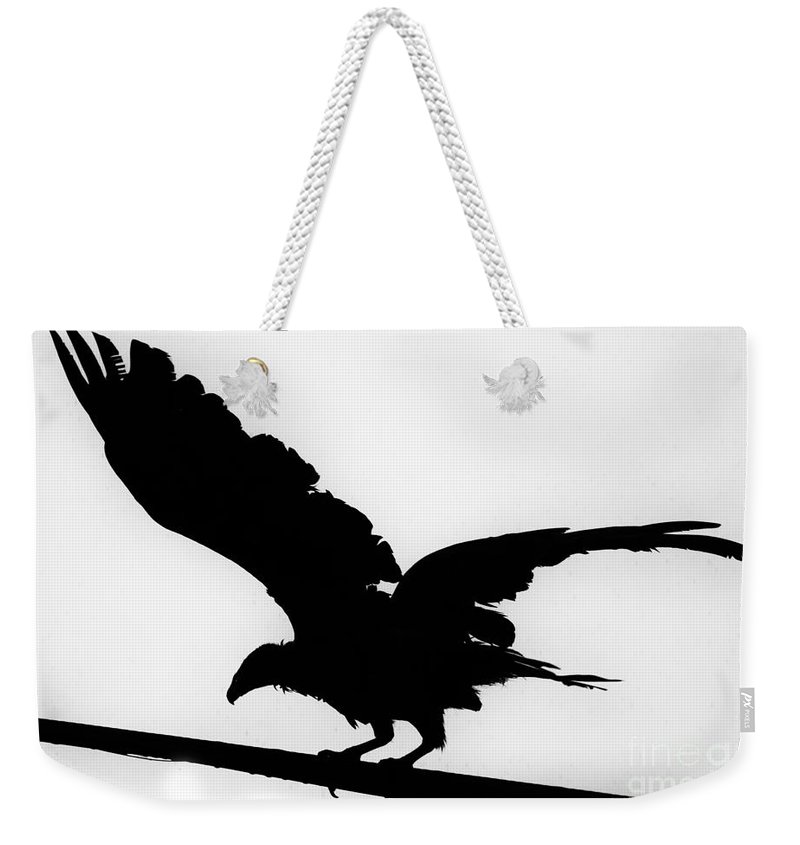 800x845 Turkey Vulture Silhouette Texas Weekender Tote Bag For Sale By