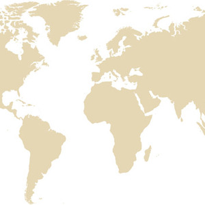 300x300 Vector World Map Silhouette