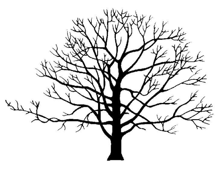 736x578 132 Best Cricut Images On Silhouette Design