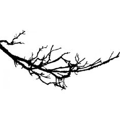 236x236 Polly Bemis Ranch