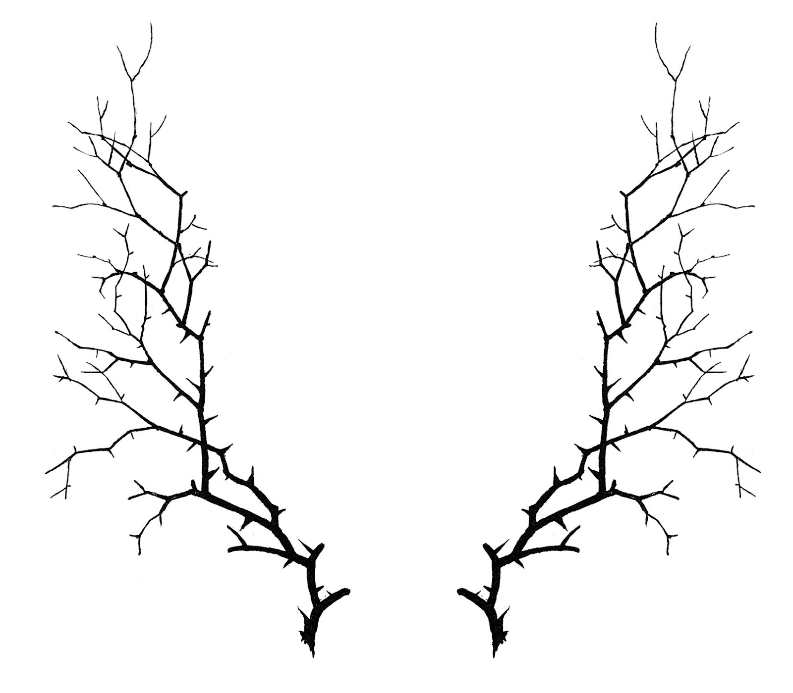 1600x1400 Winter Twigs Clipart