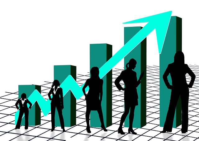 640x452 Rate Silhouette Women S Graphic Quota Chart Woman Photo Free