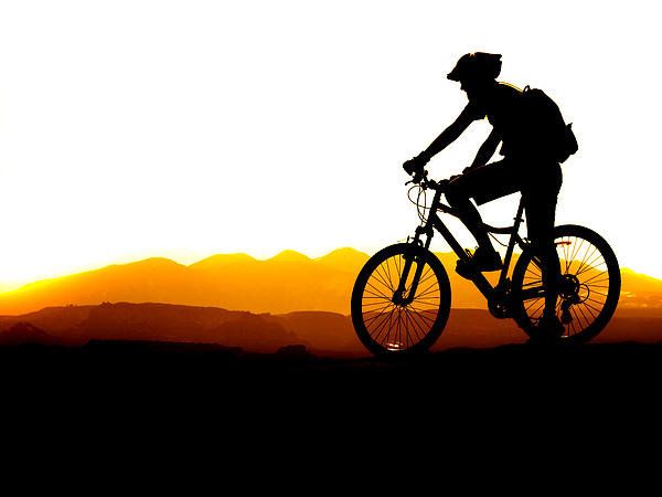 600x450 Mountain Biking Silhouette Poster By Lane Erickson Silhouette